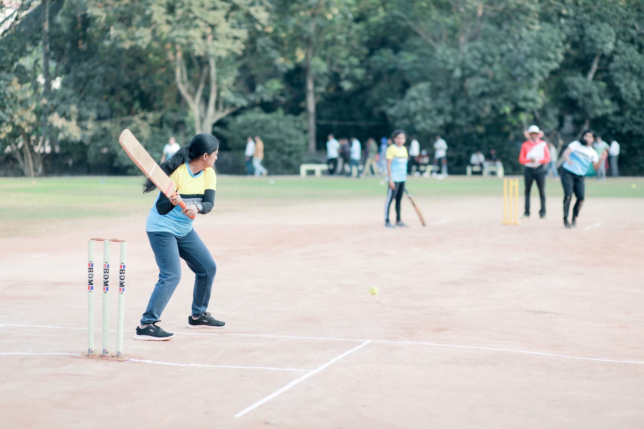 Cricket Ground 1