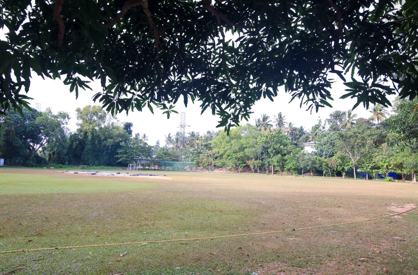 Cricket Ground 2