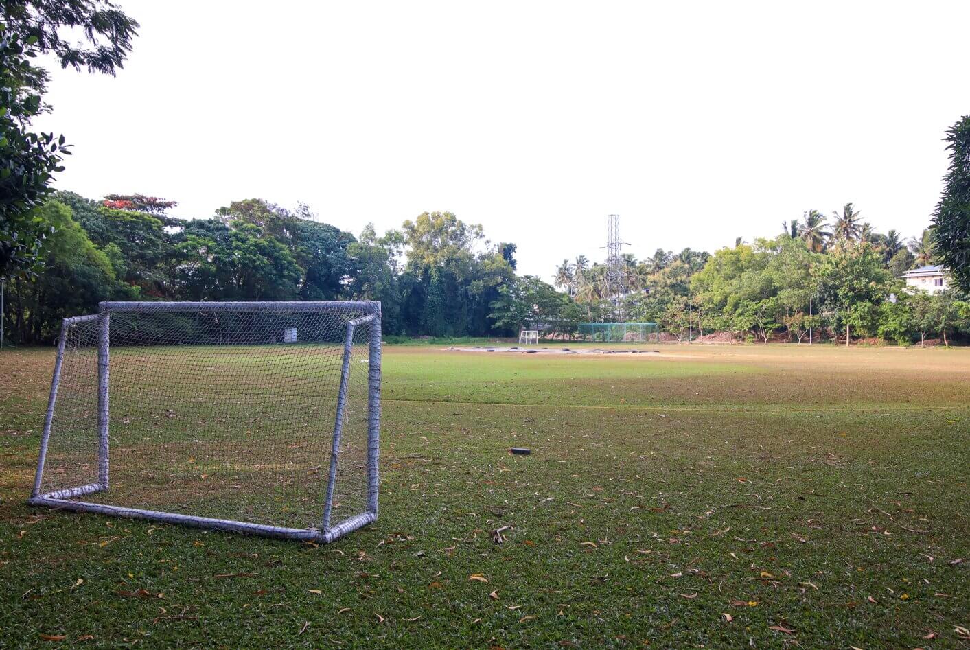 Cricket Ground 4